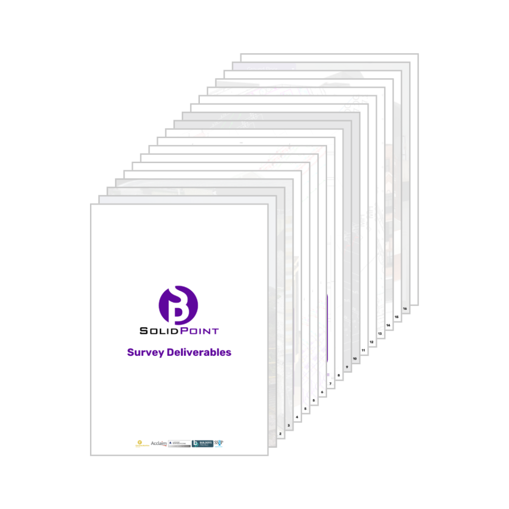 survey deliverables brochure create your own revit specification