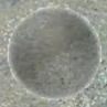 ReCap mirror ball ReCap mirror ball How To Download & Use Your SolidPoint Point Cloud Survey
