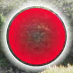 TruView mirror ball TruView mirror ball How To Download & Use Your SolidPoint Point Cloud Survey